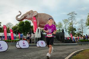 BIB: 
                            <button type="button" onclick="openModal(26529104)" class="btn btn-primary btn-sm float-right btn-popup" data-toggle="modal" data-target=".modal-high-quality">
                        <i class="fas fa-shopping-cart"></i> Add to Cart
                    </button>
                                            <button type="button" onclick="isThisMe(26529104, true)" class="btn btn-success btn-sm float-right btn-popup btn-isme hidden" data-toggle="tooltip" data-placement="bottom" title="นี่คือรูปของคุณใช่ไหม คลิกที่นี่เพื่อเอาเข้าอัลบั้ม">
                        <i class="fas fa-plus"></i> Add to album
                    </button>
                    <button type="button" onclick="isThisMe(26529104, false)" class="btn btn-warning btn-sm float-right btn-popup btn-isnotme hidden">
                        <i class="fas fa-ban"></i> Remove from album
                    </button>